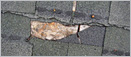 Bare spots and missing shingles