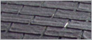 Buckling shingles